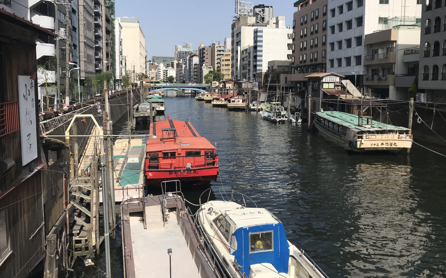 Tokyo from below<br>by Dale Little